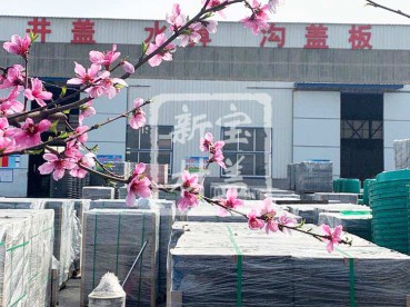花滿枝頭，春意盎然